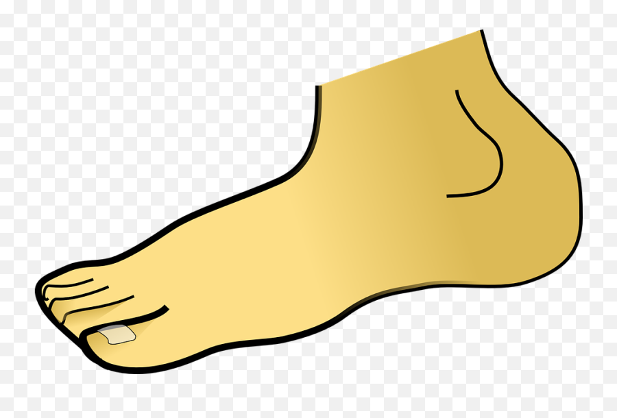 Png Toe Transparent - Foot Clip Art,Toe Png