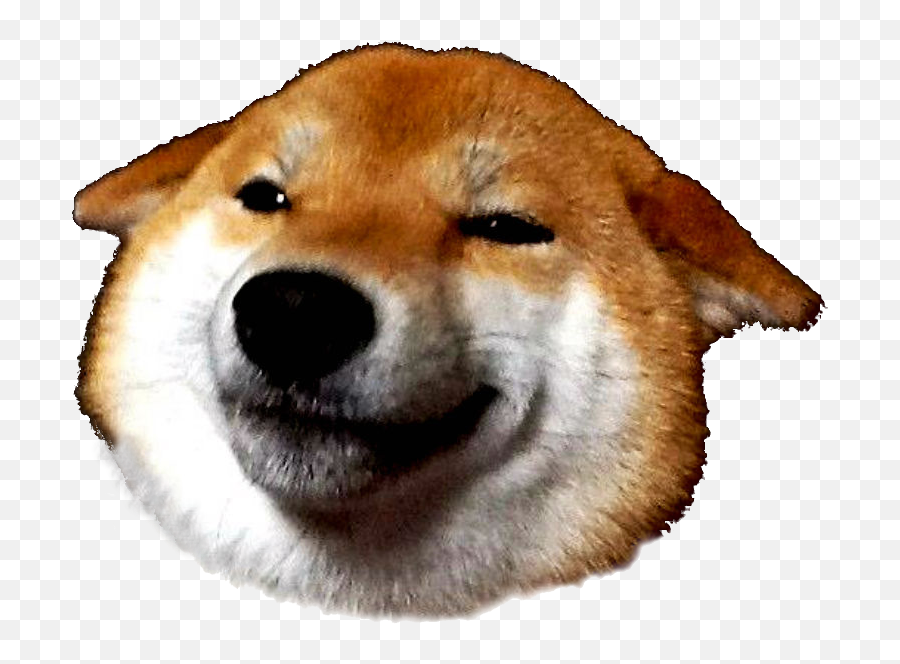 Download Free Png Doge Head - Shiba Inu Face Png,Doge Transparent Background