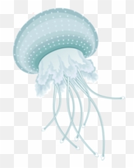 Download Free Png Jellyfish - DLPNGcom