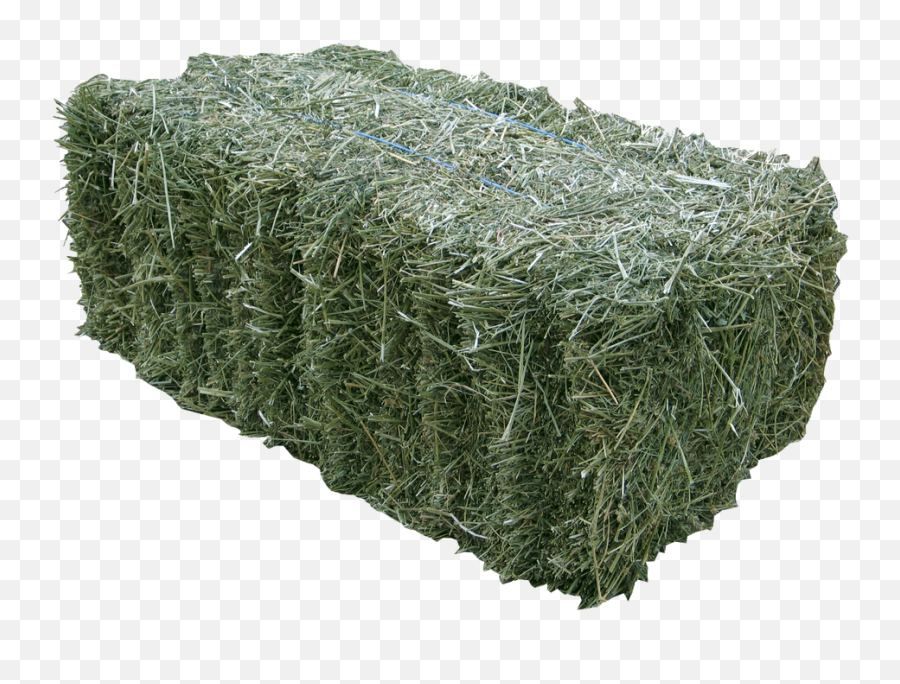Bales Of Hay From A Farm Or Feed Store - Lucerne Hay Png,Hay Png