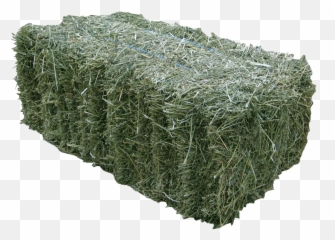 Bales Of Hay From A Farm Or Feed Store - Lucerne Hay Png,Hay Png