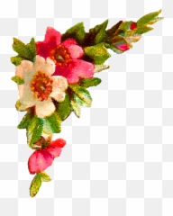 Digital Flower Corner Design Roses Clip - Corners png