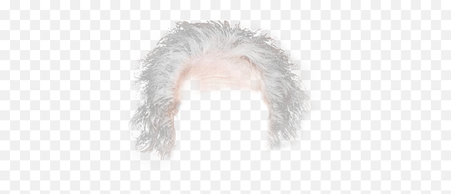 Einstein Hair Png Picture - Lace Wig,Einstein Png