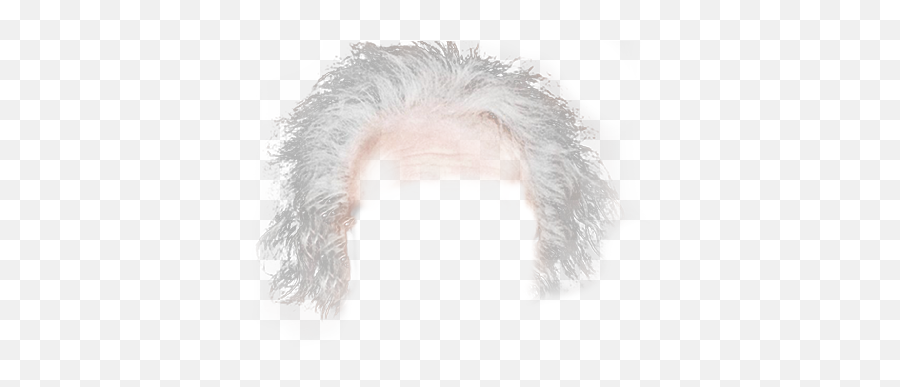 einstein hair clipart