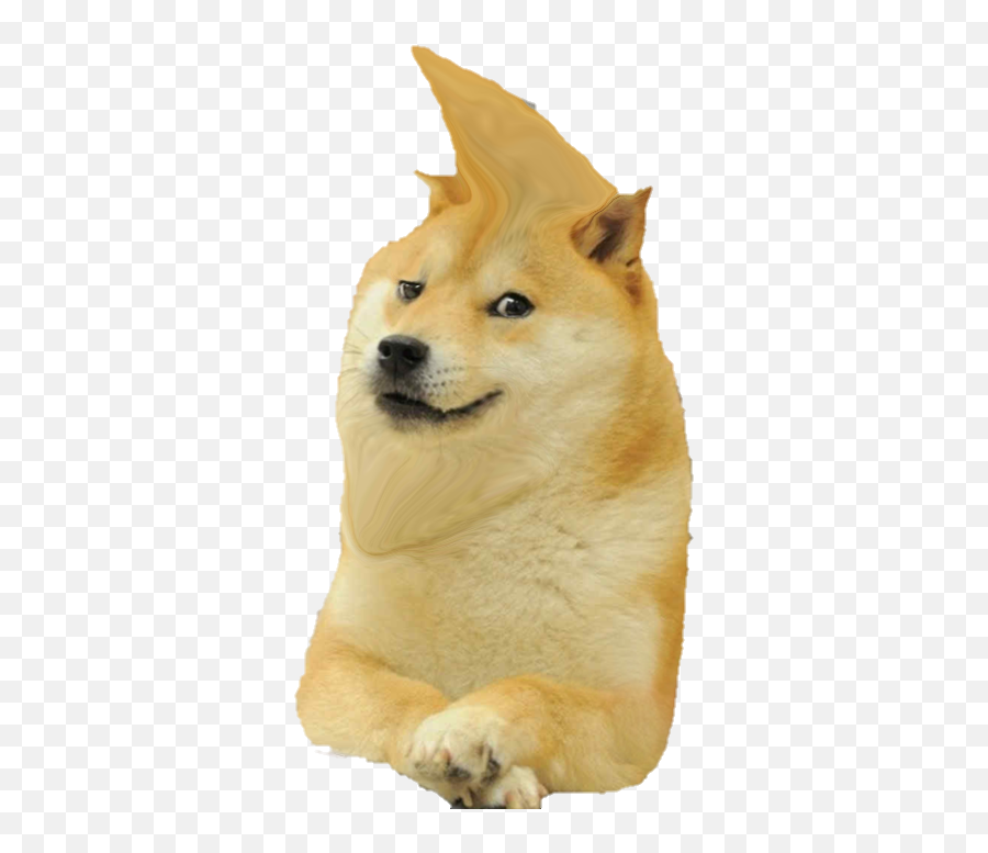 Le Chad Png Has Arrived Cropped - Dog Meme Png,Chad Png