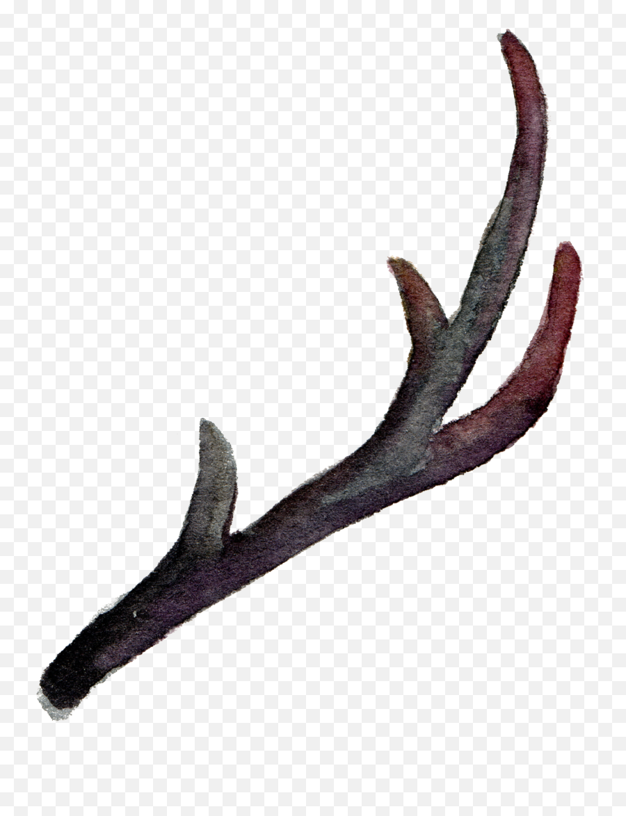 Download Hd Clip Antler Horn Painting Leaves - Antlers Transaprent Png,Antlers Png
