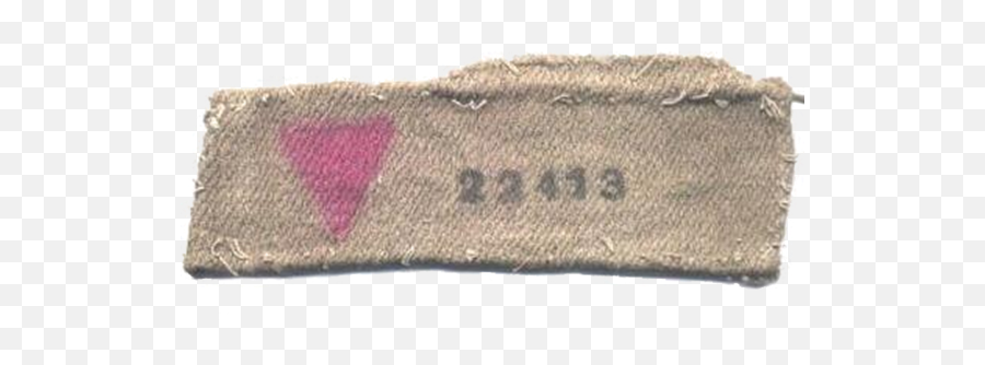 Yellow Stars Pink Triangles And Blue - Holocaust Memorial Pink Triangle Png,Nazi Armband Png