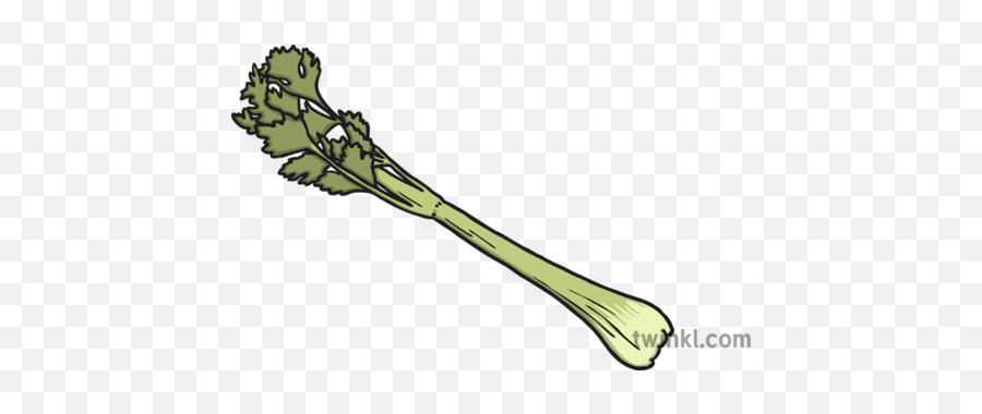 Celery 2 Illustration - Leek Png,Celery Png