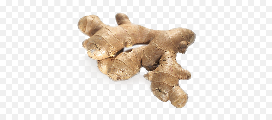 Ginger Png Web Icons - 30 Grams Of Ginger,Ginger Png