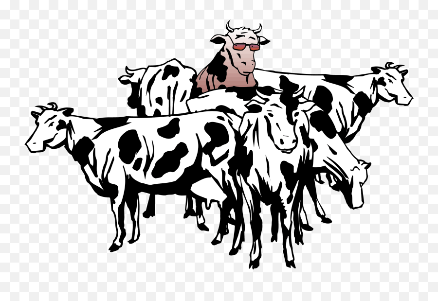 Cow Vector Png - British White Cattle Beef Cattle Sheep Herd Herd Of Cows Clipart Black And White,Cow Clipart Png