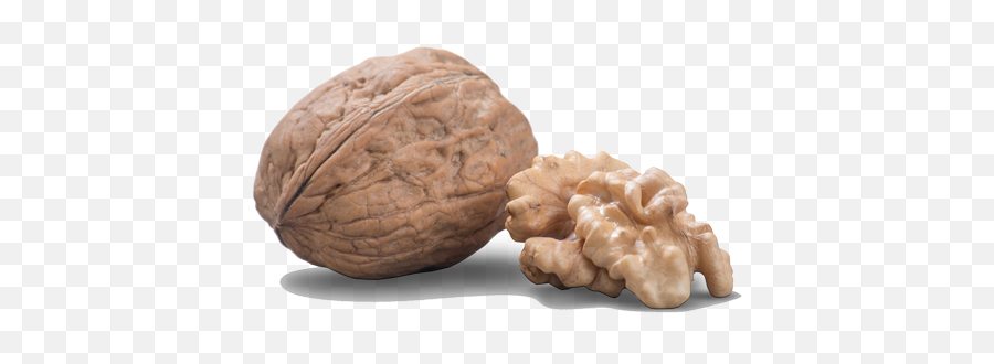 Walnuts Pacific Nut - Walnut Png,Walnuts Png