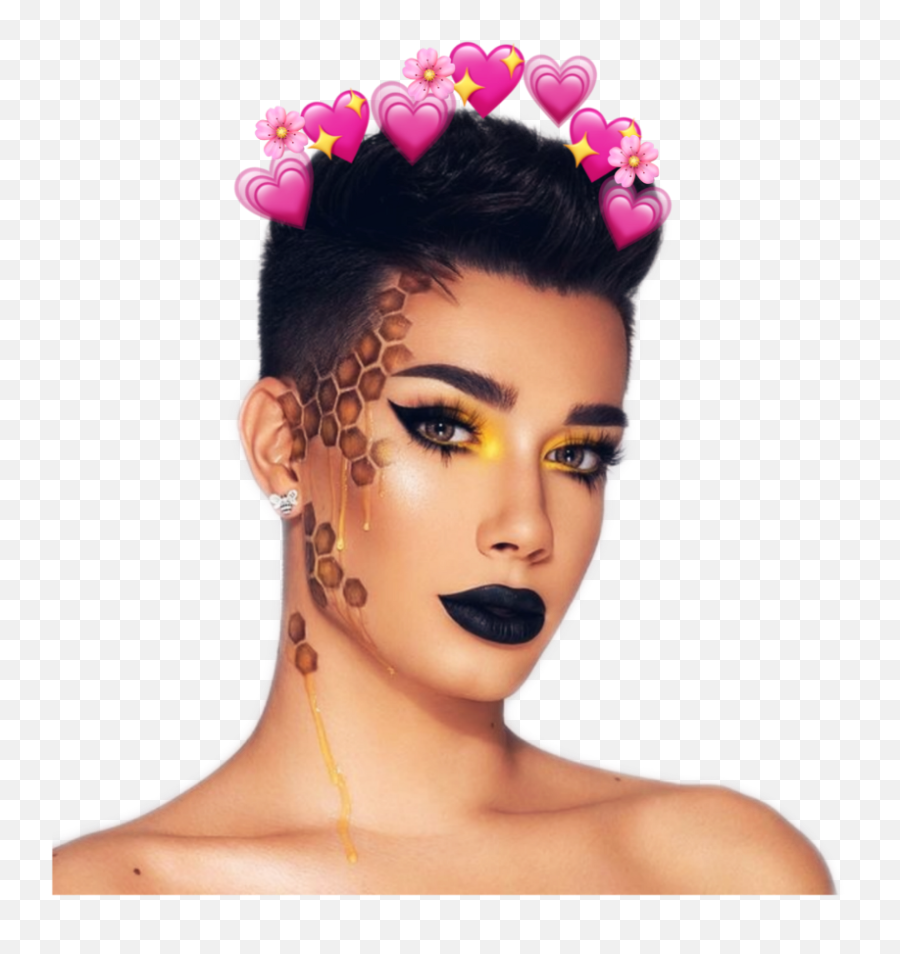 James Charles X Morphe Png Image - James Charles Makeup Art,James Charles Png