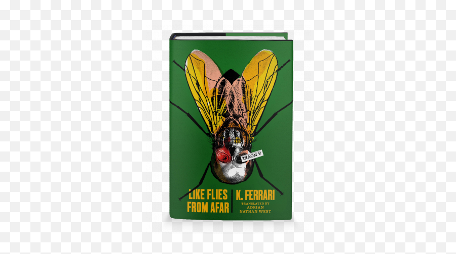 Book Review Like Flies From Afar By K Ferrari - Like Flies From A Novel Png,Flies Png