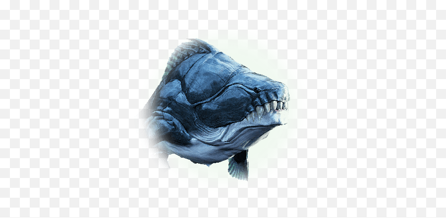 Black Rust - Bdo Codex Bdo Png,Sharp Teeth Png