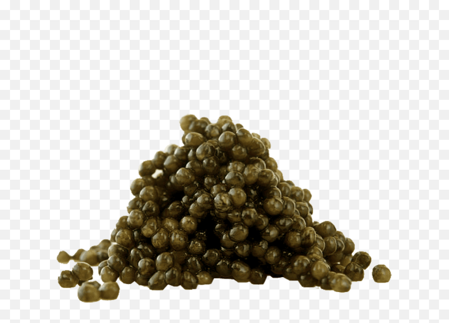 Caviar Asetra 50g - Caviar James Bond Png,Caviar Png