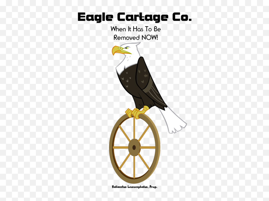 573720 - Artist Needed Bald Eagle Eagle Safe Simple Mlp Eagle Png,Eagle Transparent
