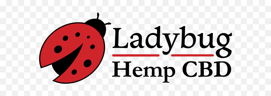 Ladybug - Dot Png,Transparent Ladybug