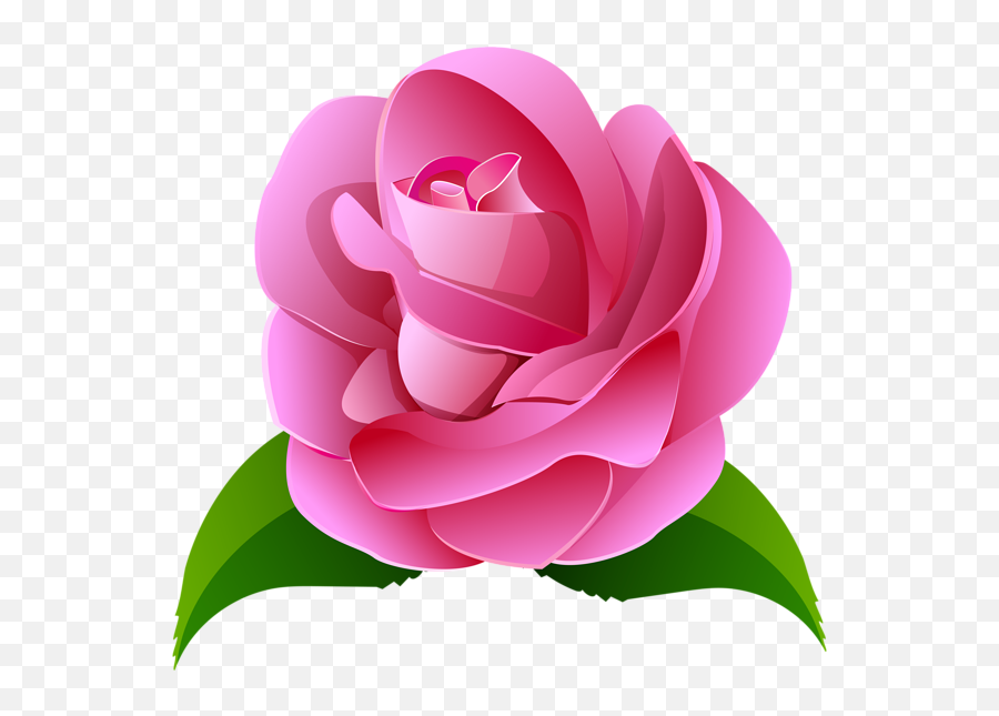 Japanese Flower Png Picture - Camellia Clipart Transparent Background,Japanese Flower Png