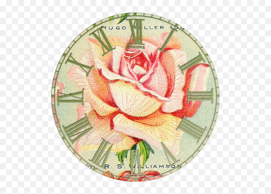 Wings Of Whimsy Rose Clock Handmade Clocks Diy - Garden Roses Png,Clock Face Transparent