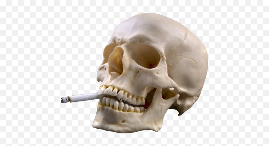 Download Hd Transparent Smoking Skull Grunge - Tobacco The Silent Killer Png,Skulls Transparent