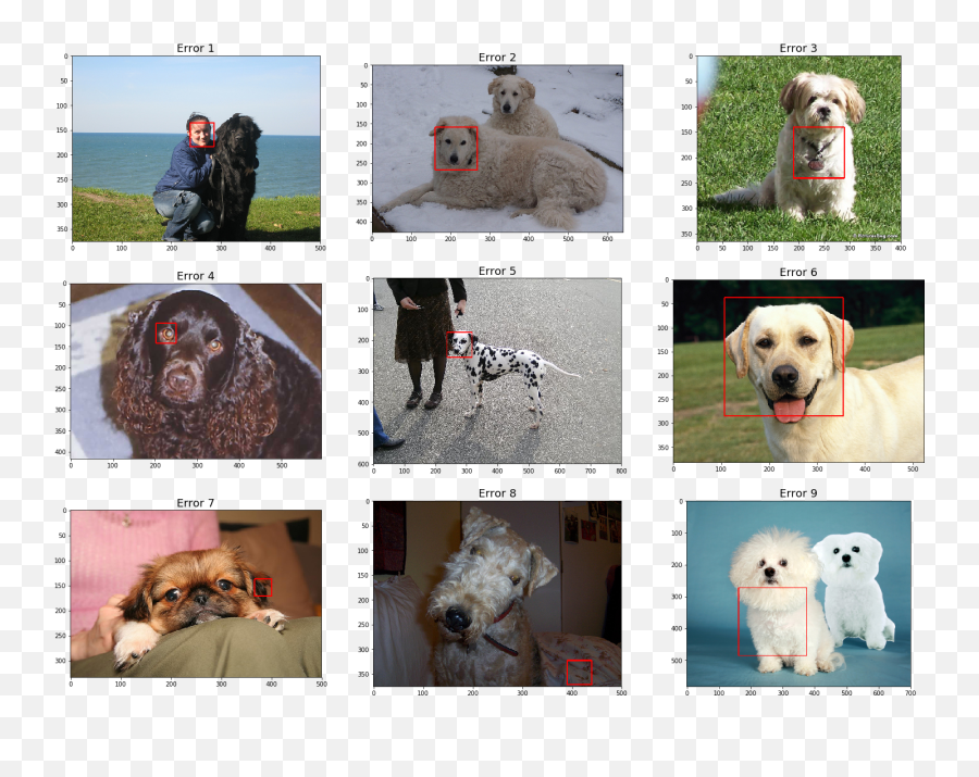 Applying Transfer - Learning In Cnns For Dog Breed Retriever Png,Doge Face Png