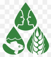 Cotton - Pesticide Action Network UK Uk png