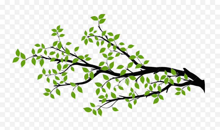 Branch Tree Drawing Royalty - Free Branch Png Download Tree Branch Png Free,Branch Png