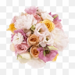 Gummy Bear Png - Gummy Bear Garden Roses 490954 Vippng Garden Roses,Gummy Bear Png