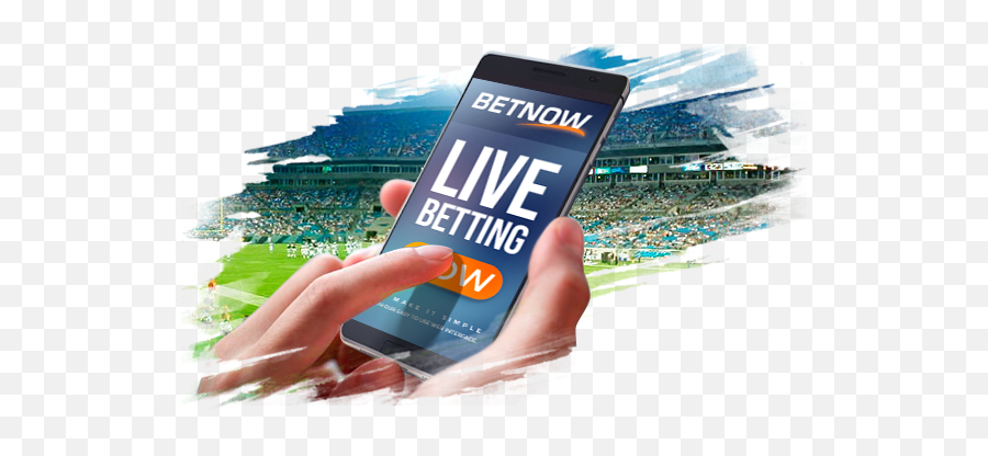 Sportsbook Best Online Betting Website Bet - Live Betting Png,Bet Icon