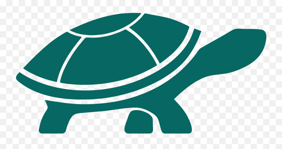 About The Wellbeing Tortoise - Box Turtles Png,Toroise Icon