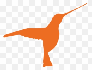 Why A Hummingbird - Hummingbird Centre For Hope Png,Humming Bird Png