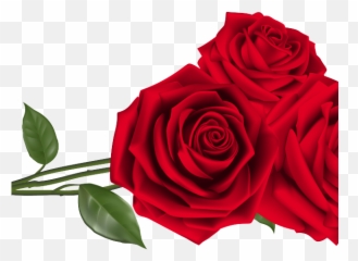 Purple Rose Clipart Valentines Day - Red Roses Png