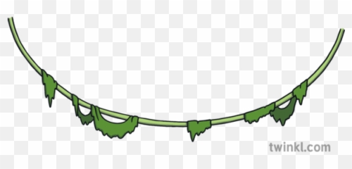 Creeper 010011 02 Vines Jungle Plants - Clip Art Png,Jungle Plants Png