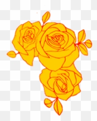 Yellowrose Yellowroses Yellow Rose - Floribunda Png,Yellow Rose Transparent