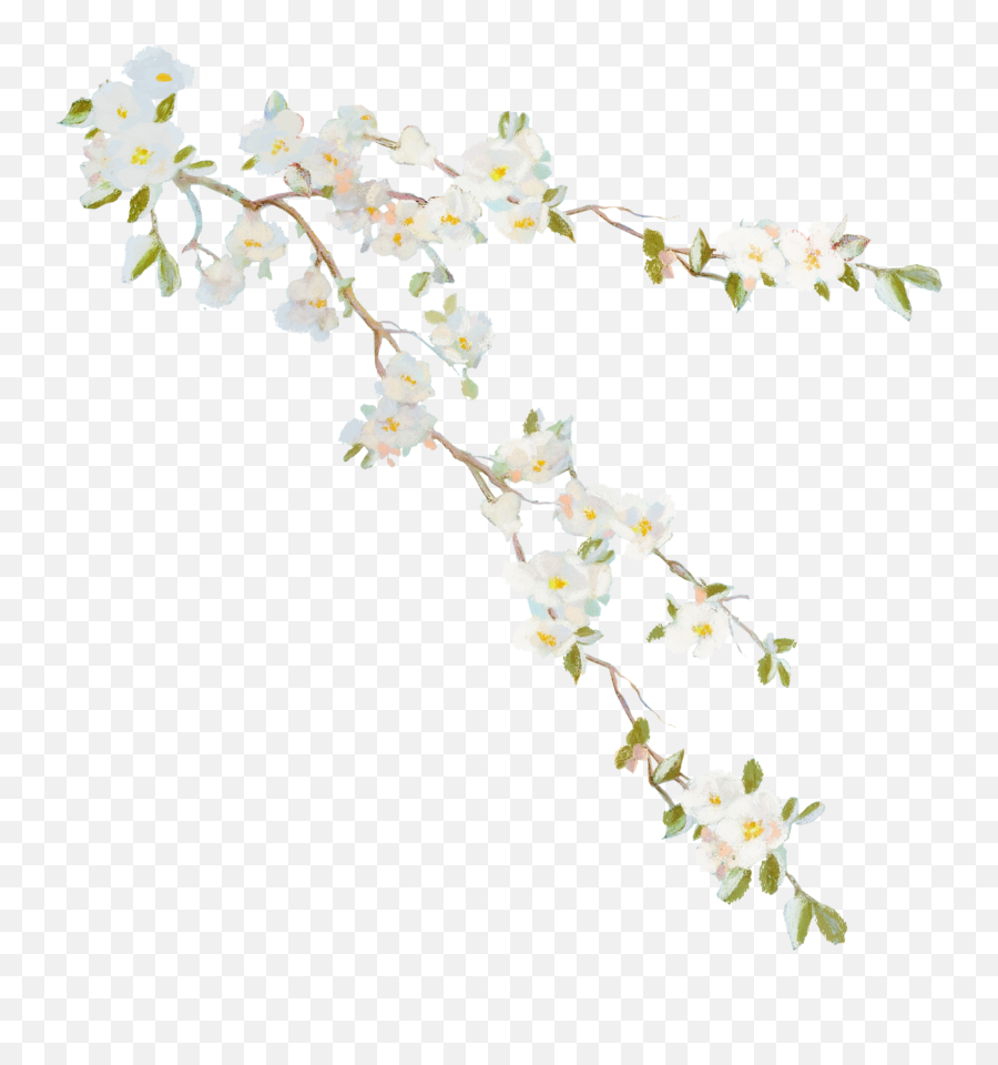 Flower Vine Desktop Wallpaper Clip Art - Vines Png Download Flower Vine,Vines Transparent