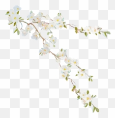 Flower Vine Desktop Wallpaper Clip Art - vines png download
