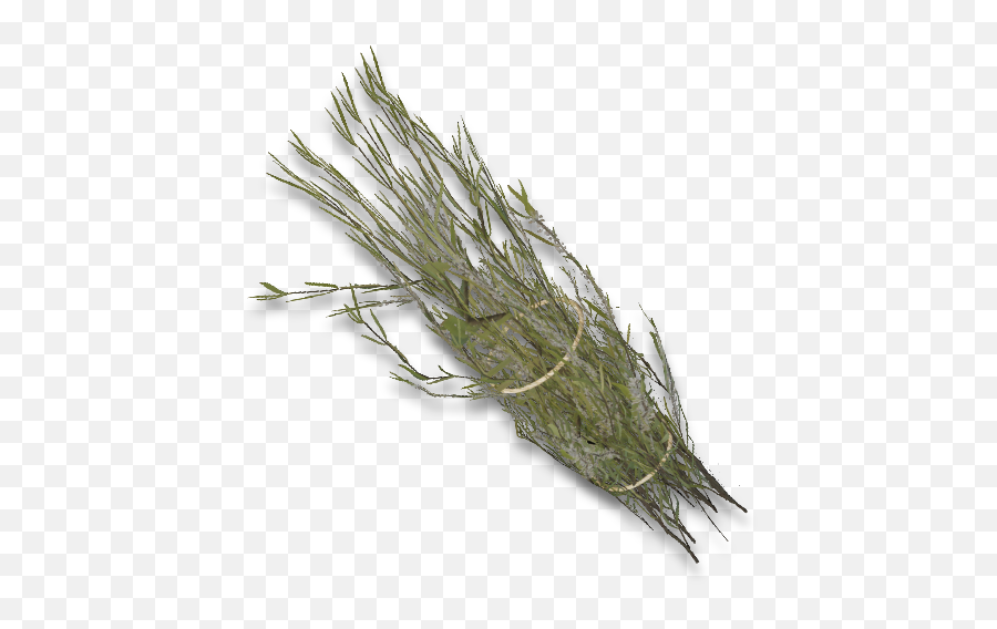 Dry Grass Patch - Grass Png,Dry Grass Png