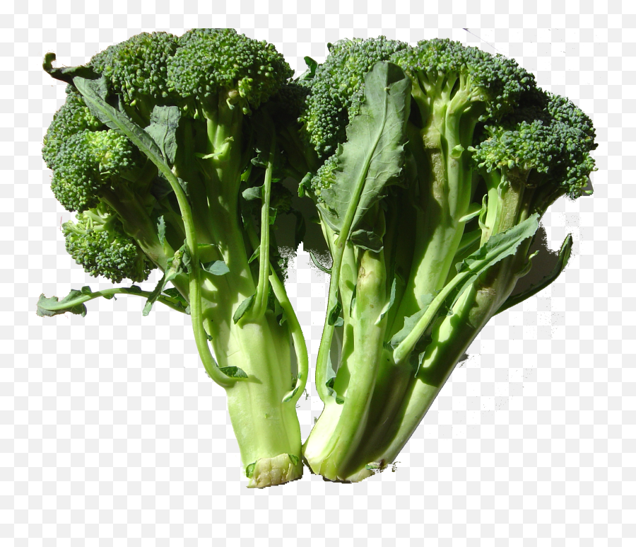 Lnc Update Png Brocolli