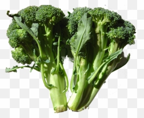 Lnc Update Png Brocolli