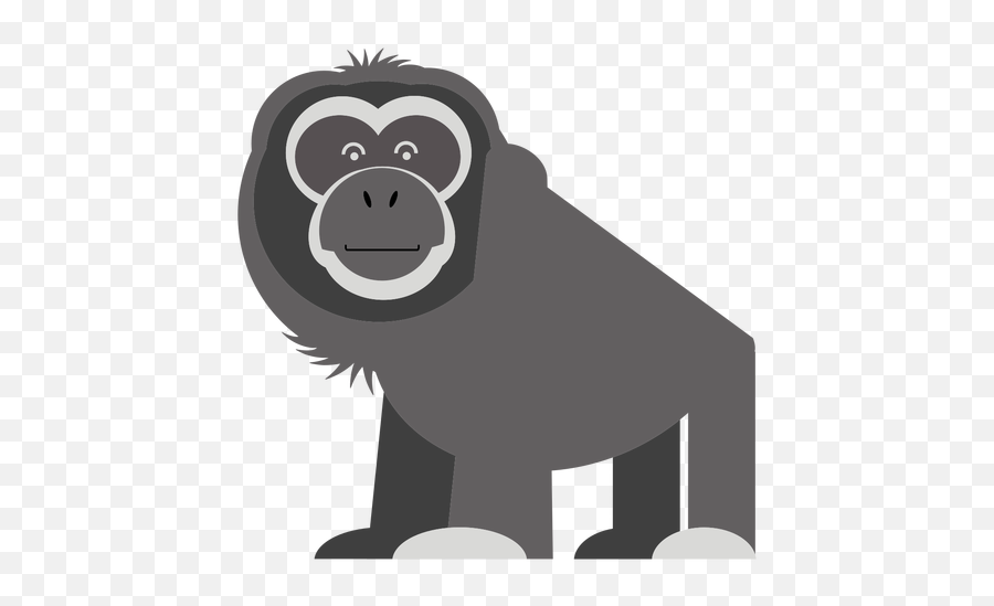 Chimp Drawing Gibbon Picture - Desenho Macaco Chamado Gibão Png,Chimp Png