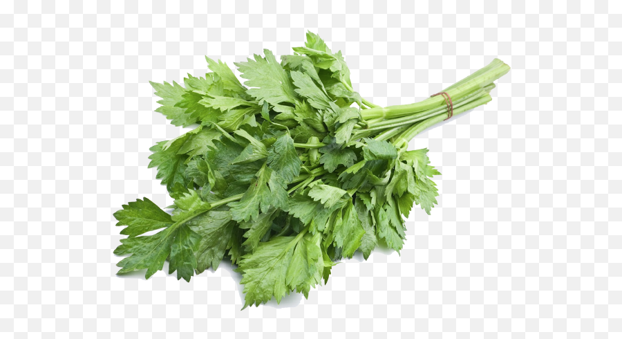 Celery Png - Daun Seledri,Celery Png