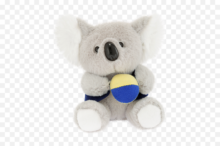 Download Hd Koala With Ball - Teddy Bear Transparent Png Teddy Bear,Koala Bear Png