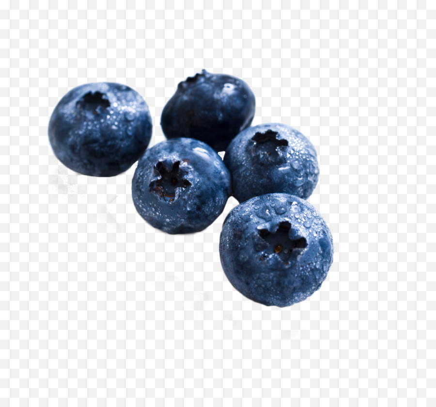 Download Blueberry Png Image For Free - Real Fruit Pictures To Print,Blueberry Png