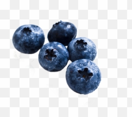 Download Blueberry Png Image For Free - Real Fruit Pictures To Print,Blueberry Png
