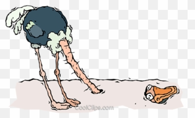 Ostrich Head In Sand Royalty Free Vector Clip Art - Sketch Png,Sand Clipart Png