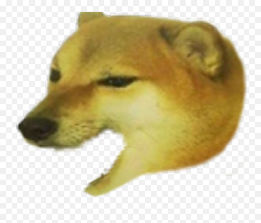 Cheemsburbger With His Mouth Open Dogelore - Doge With Mouth Open Png,Open Mouth Png