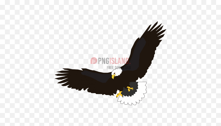 Eagle Hawk Bird Png Image With - Village Elementary School Emporia Ks,Hawk Png