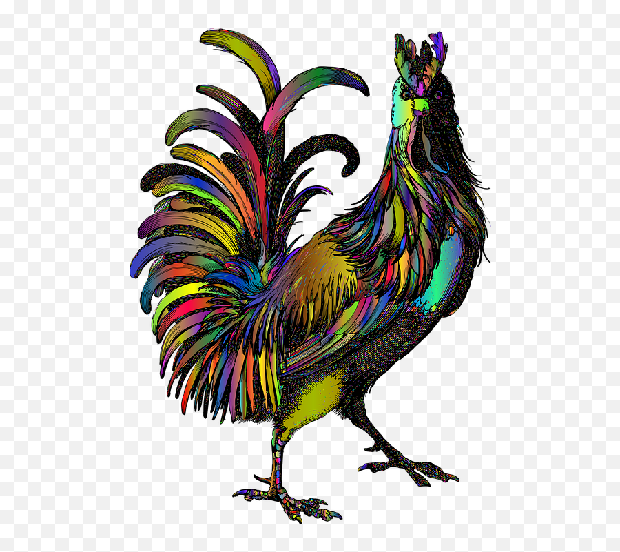 Rooster Animal Line Art - Haan Png,Rooster Png