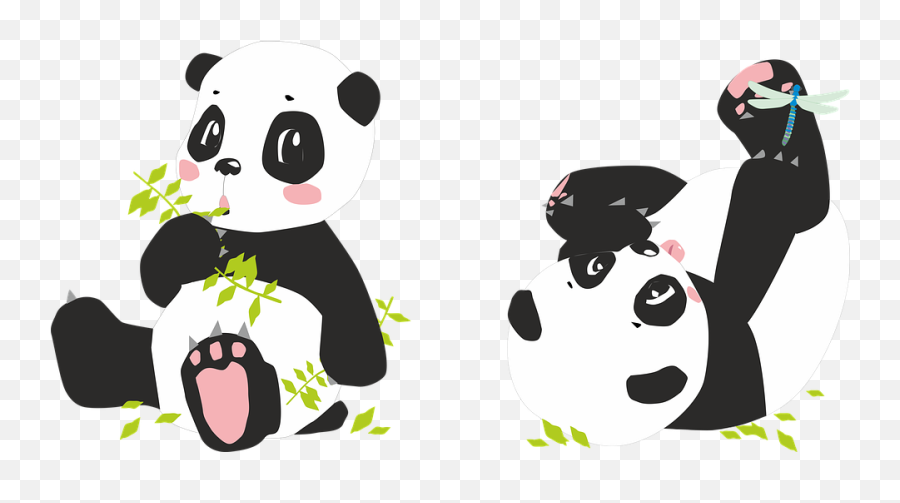 Kung Fu Panda Png - Panda Pandas Bear Dragonfly Bamboo Black Pandas Png,Kung Fu Panda Png