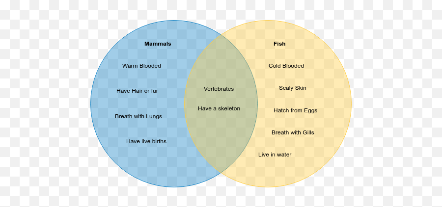 Mammals And Fish Venn Diagram Template - Example Of Venn Diagram Png,Transparent Venn Diagram